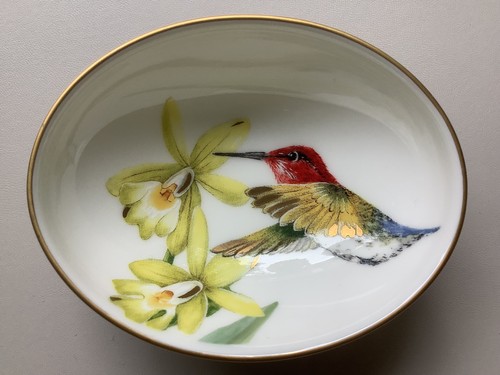 Villeroy boch amazonia - boch,