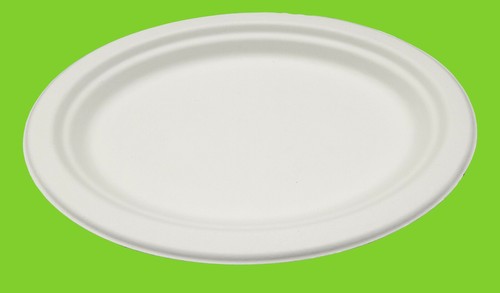 800 teller aus bagasse - 800,